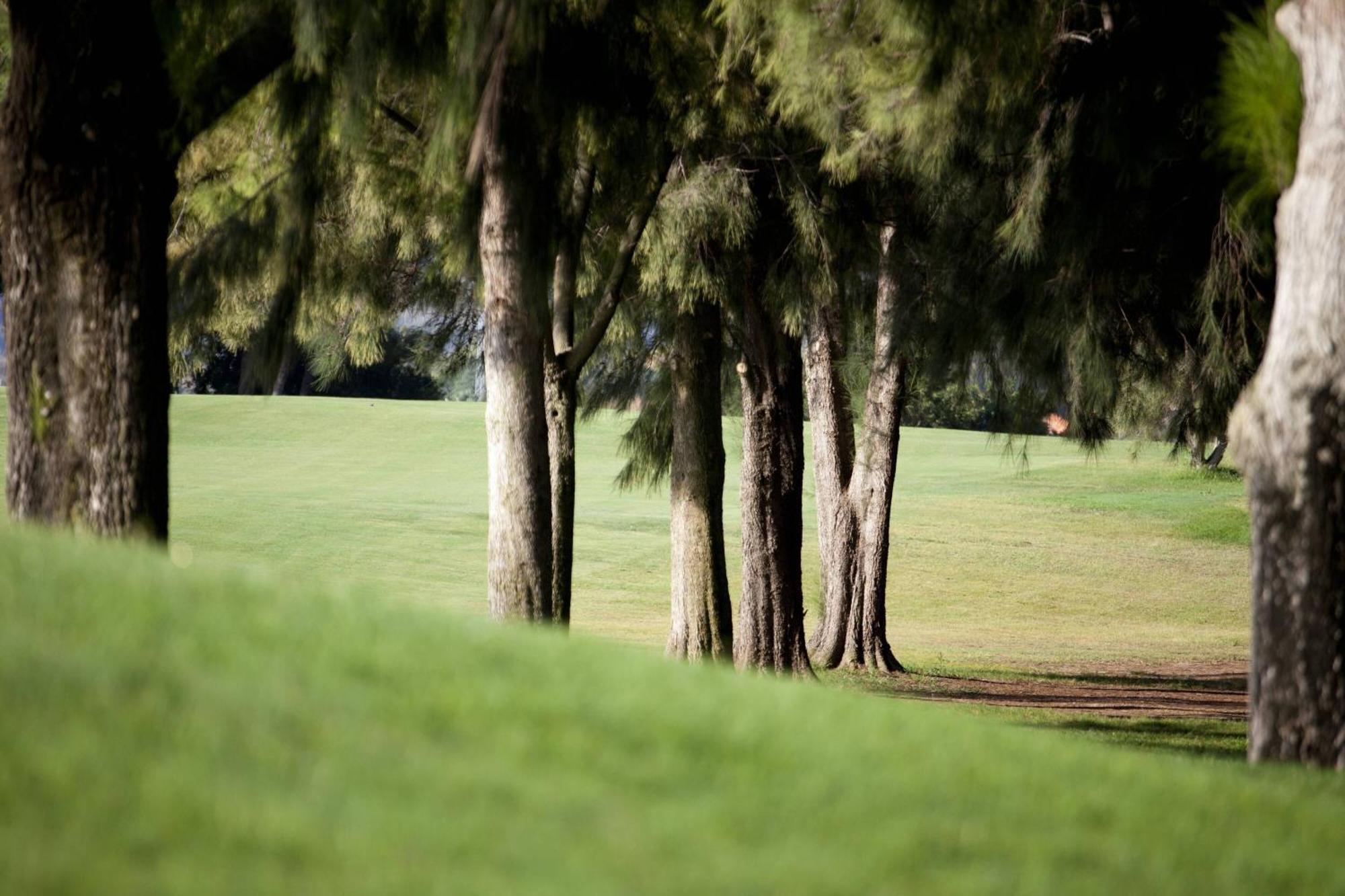 Denia Marriott La Sella Golf Resort & Spa מראה חיצוני תמונה The park